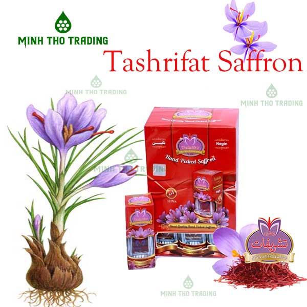 tổng hợp cách phân biệt tashrifat saffron thật hay gia